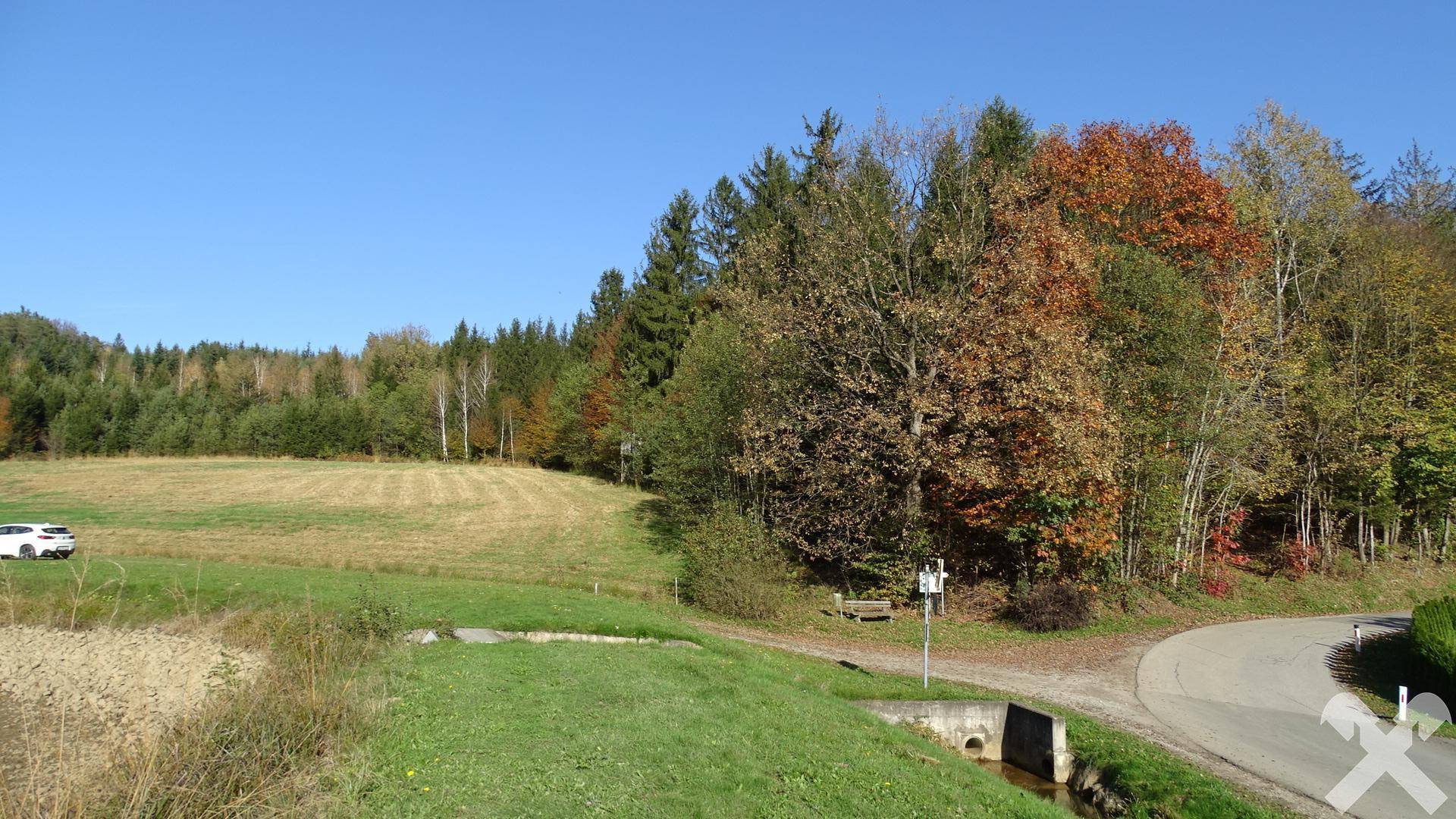 Wald-Wiese