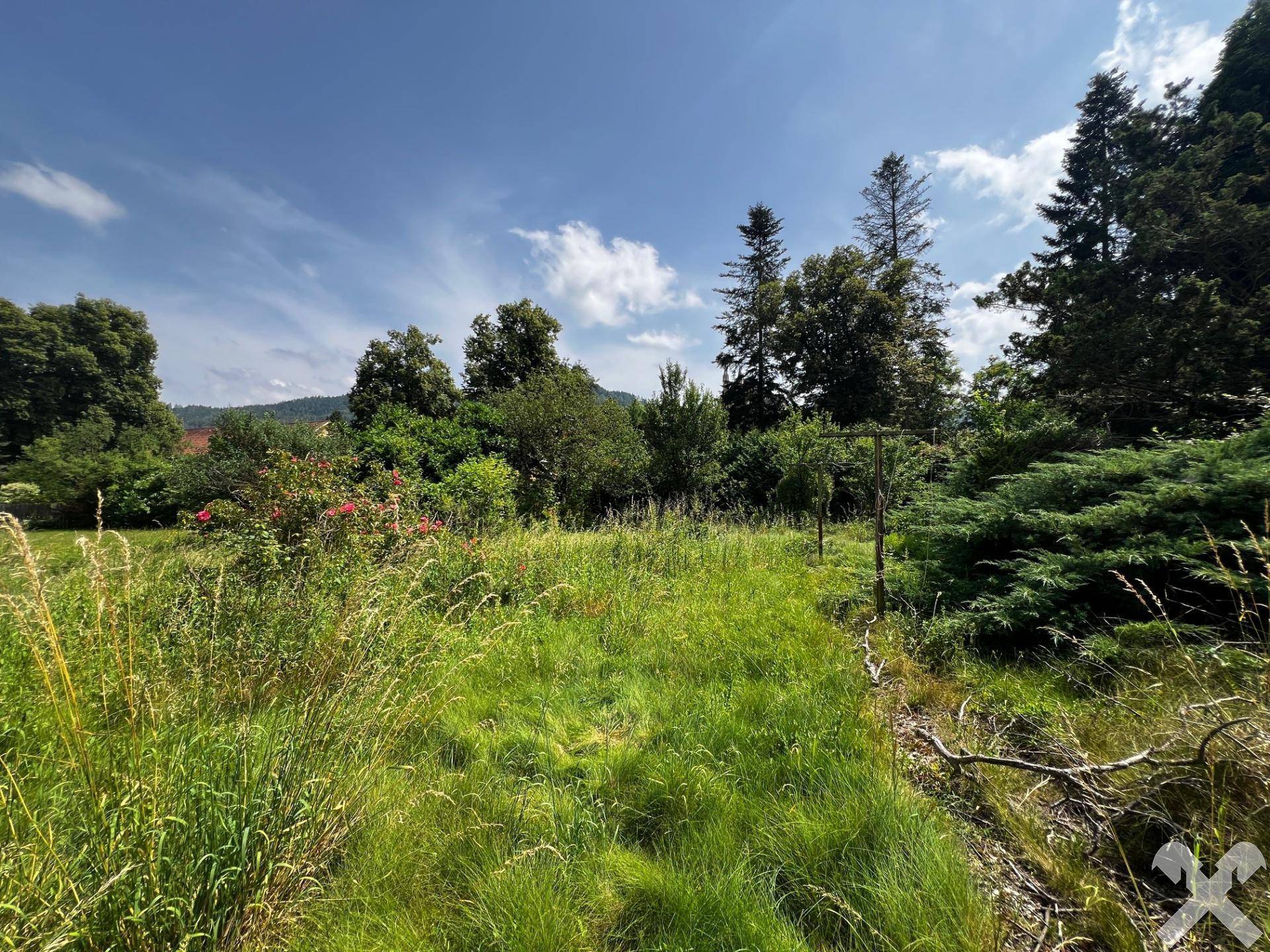 Gartenblicke bzw. - Träume