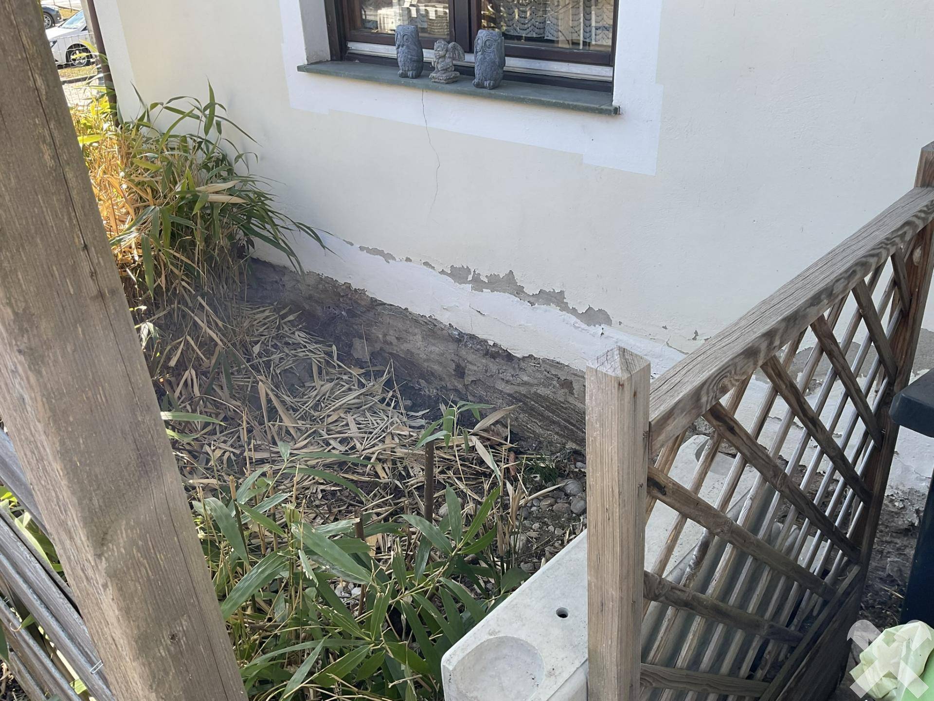 Kleiner, pflegeleichter Gartenbereich mit Pflanzen und Holzzaun neben dem Haus.