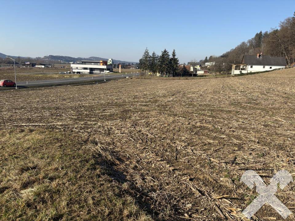 Bauträgergrundstück nahe Feldbach - Ansicht 4