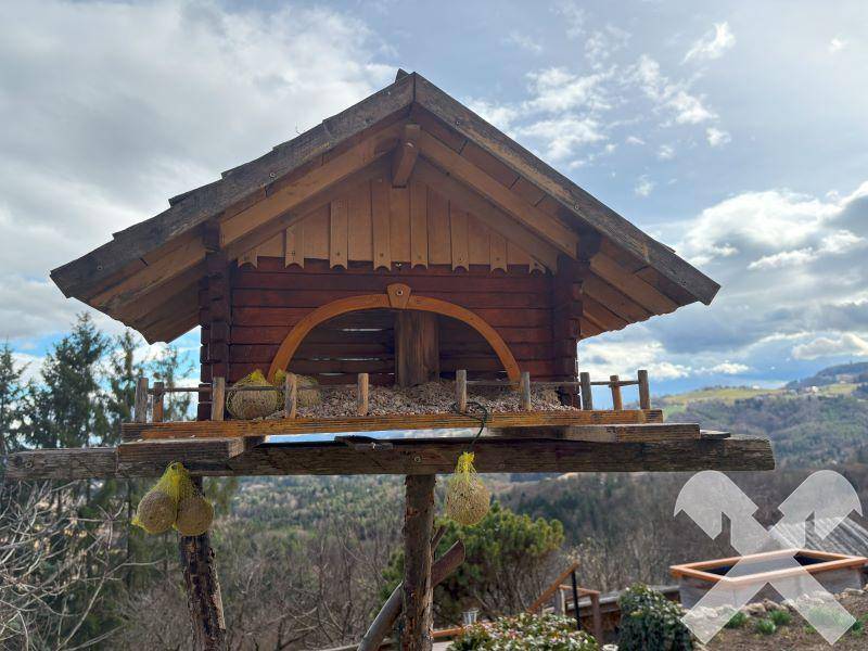 Rustikales Vogelhaus aus Holz mit Futterstellen und einem weiten Blick über die hügelige Landschaft.