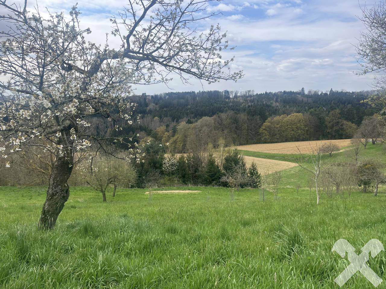Malerische Landschaft mit blühenden Bäumen, grünen Wiesen und weiten Feldern.
