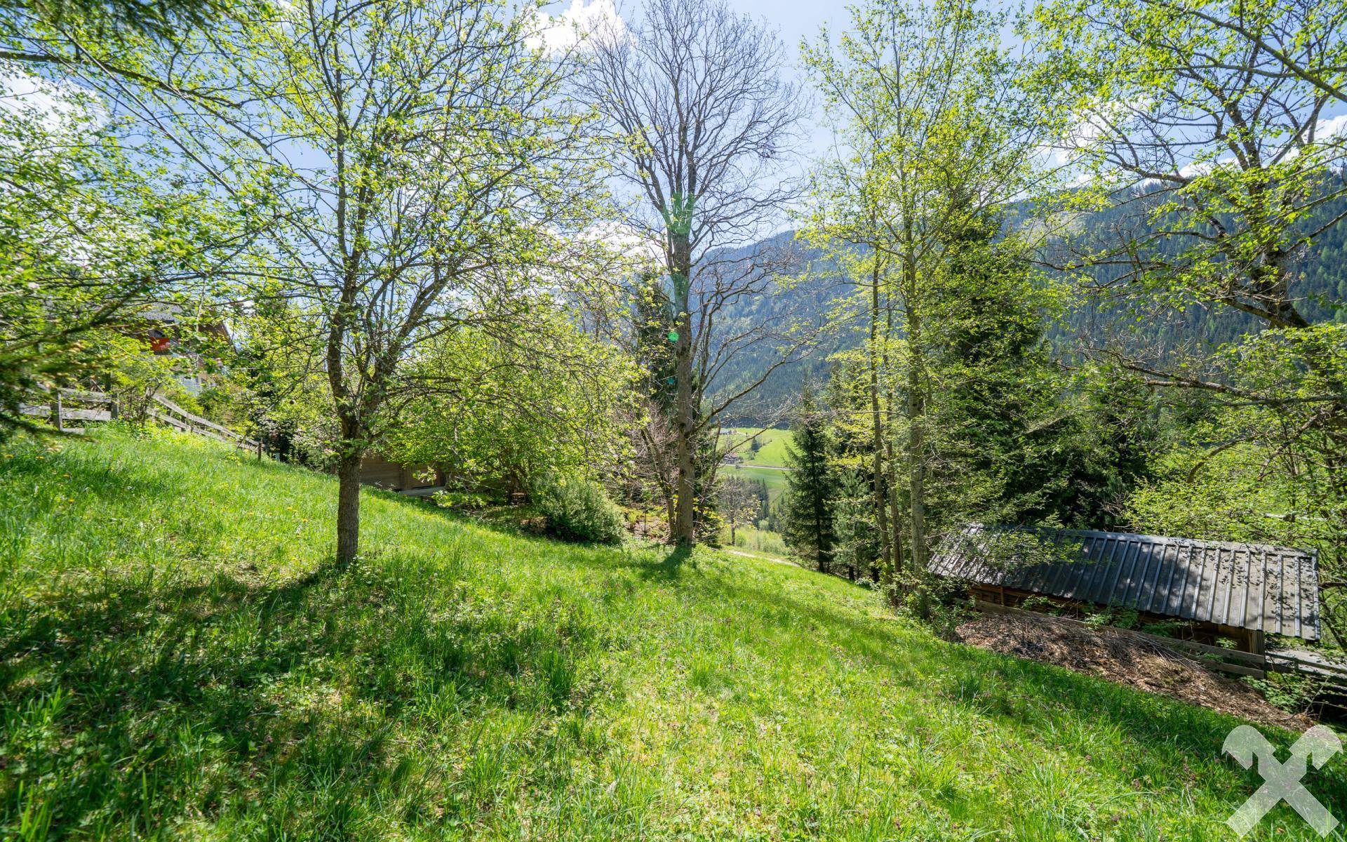 Garten/Grundstück