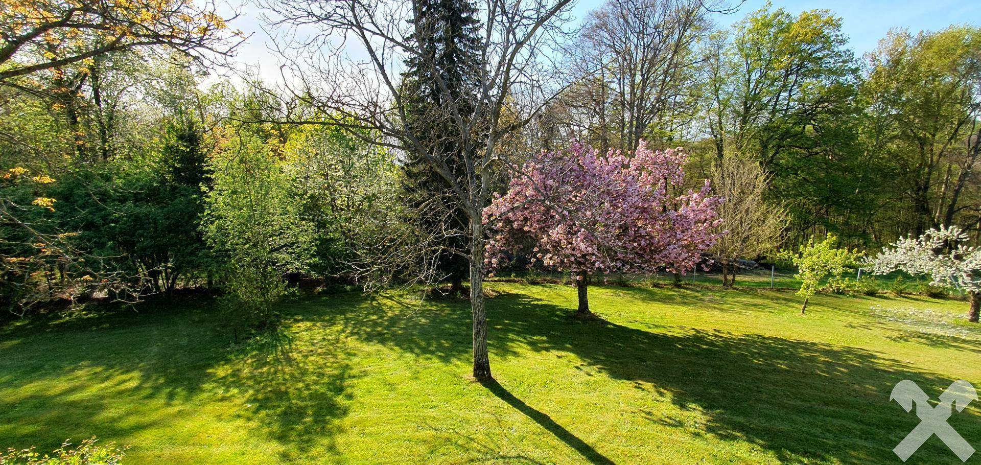 Ansicht 2 - Garten