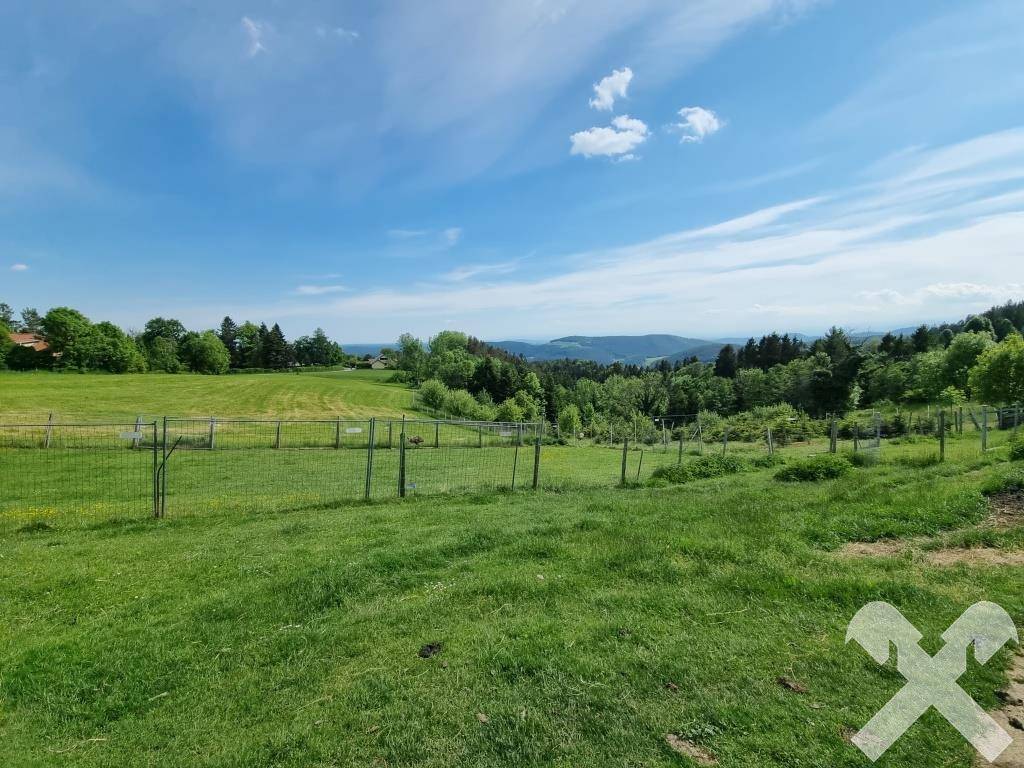 Weitläufige grüne Weideflächen mit Zäunen und einem Panoramablick auf die umliegende Landschaft.
