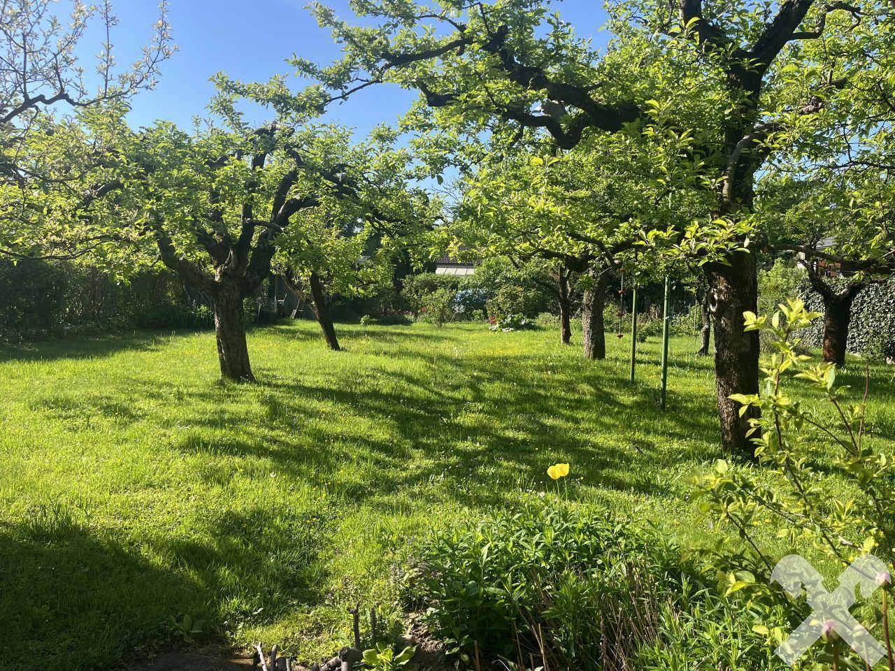 Garten mit Altbaumbestand