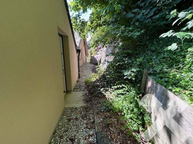 Kleiner, schattiger Gartenbereich
