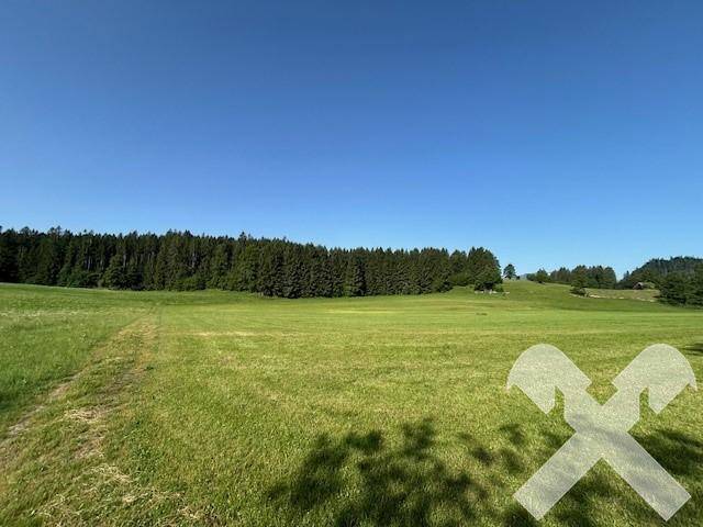 Landwirt. Grund in Bad Mitterndorf