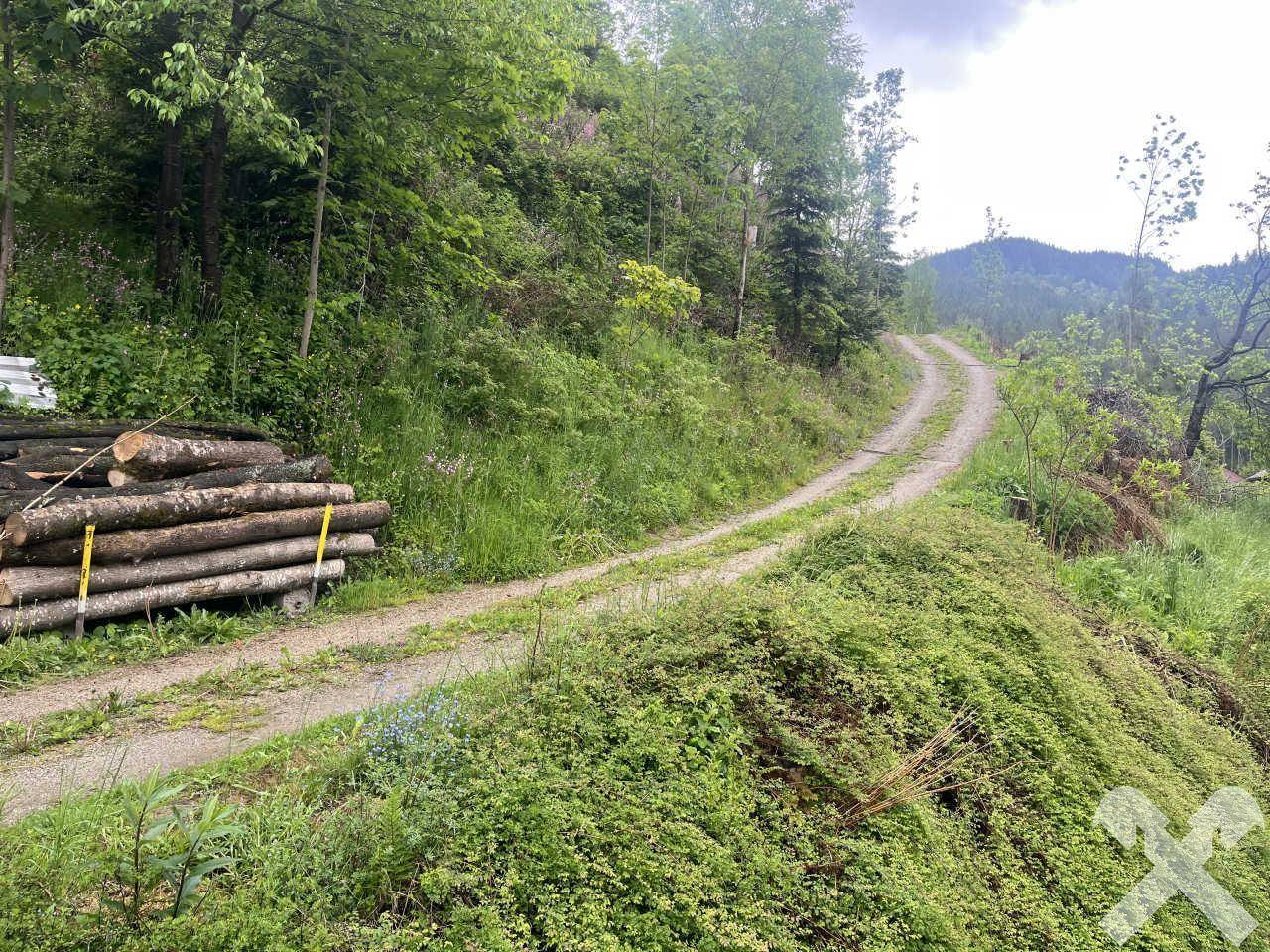 Wanderweg am Haus