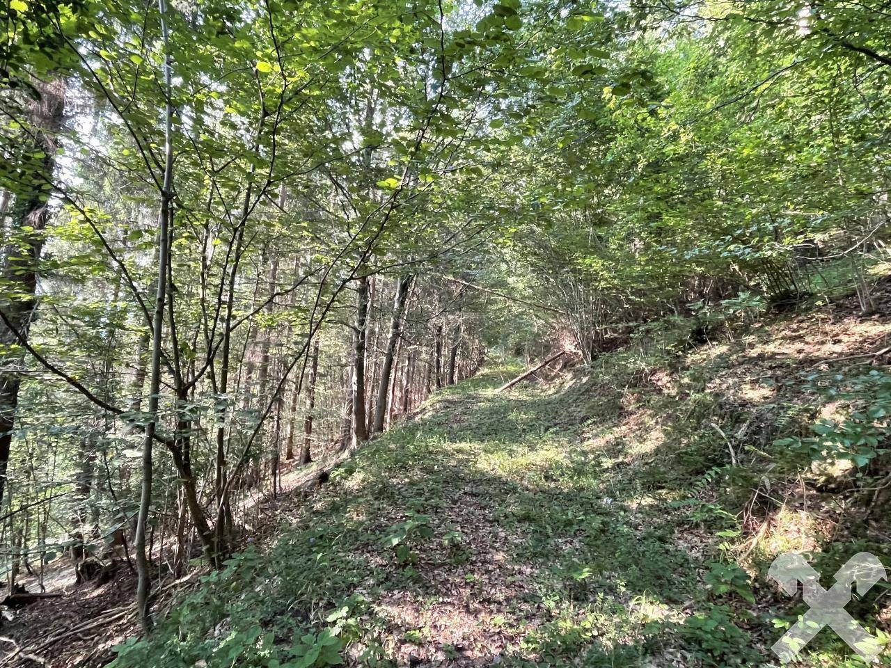Rückeweg