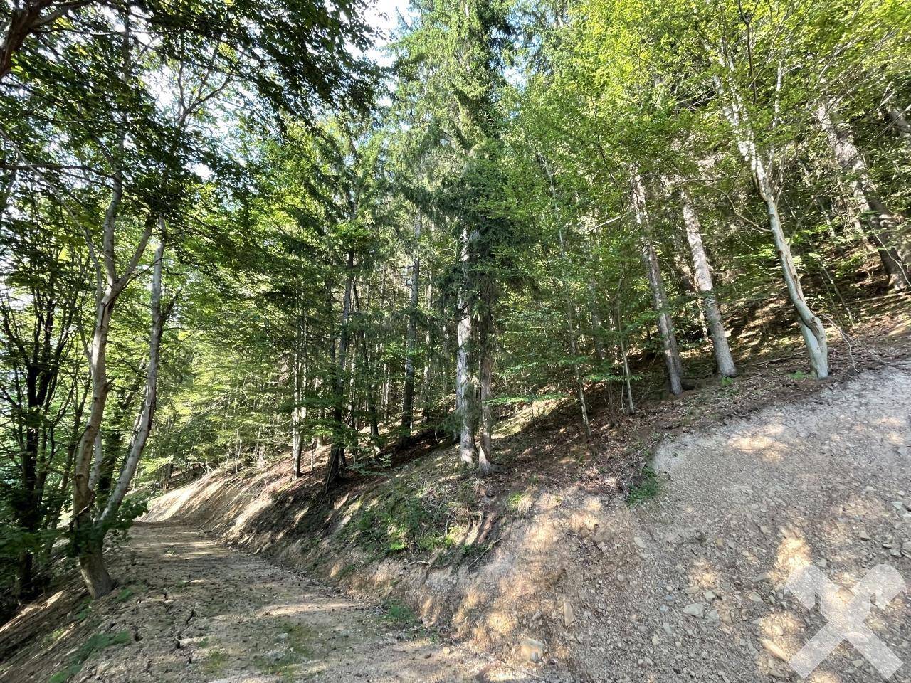 Rückeweg