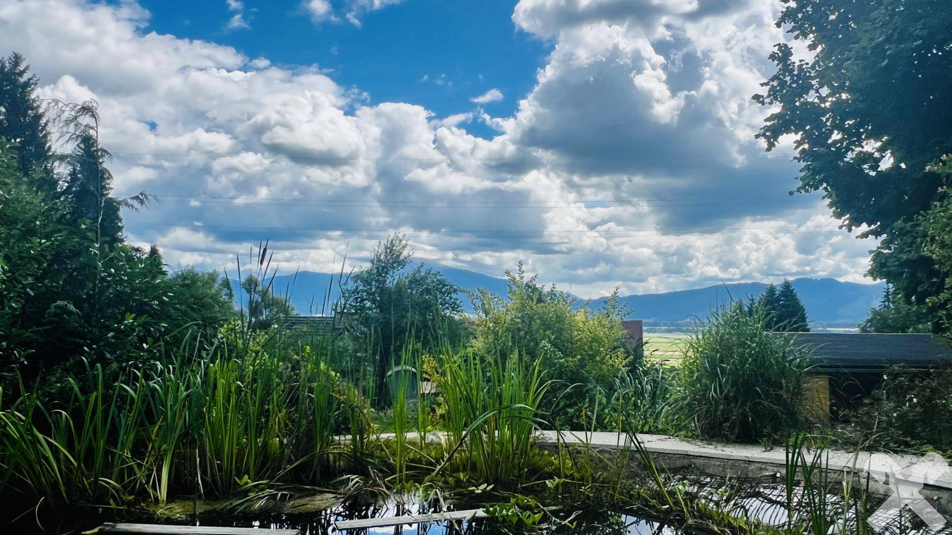Aussicht Garten mit kleinem Teich