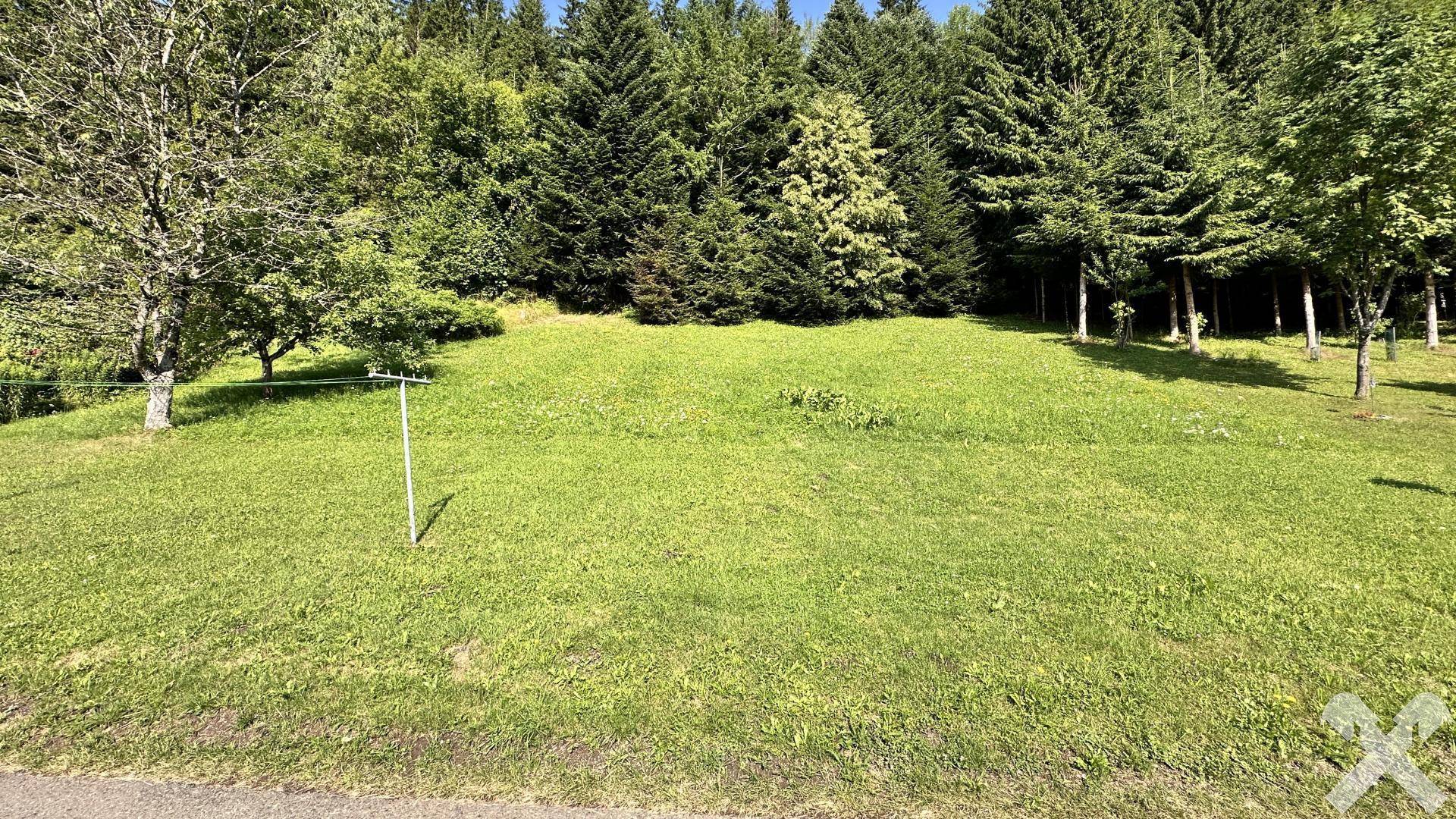 Garten und Waldstück