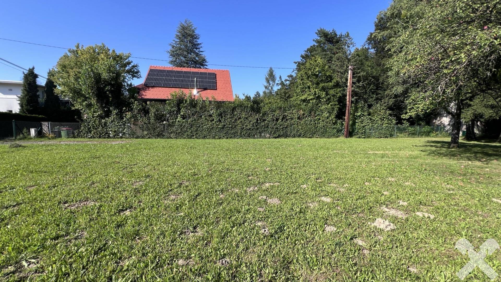 Weitläufige grüne Wiese mit einer hohen Hecke und einem Haus mit Solaranlage im Hintergrund.