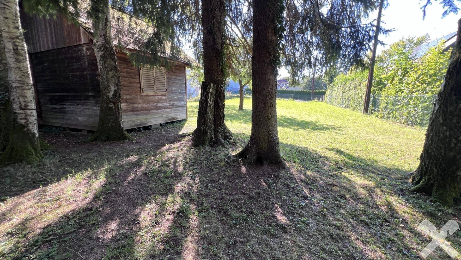 Blick durch alte Baumstämme auf eine sonnige Wiese und das Holzgartenhaus im Hintergrund.