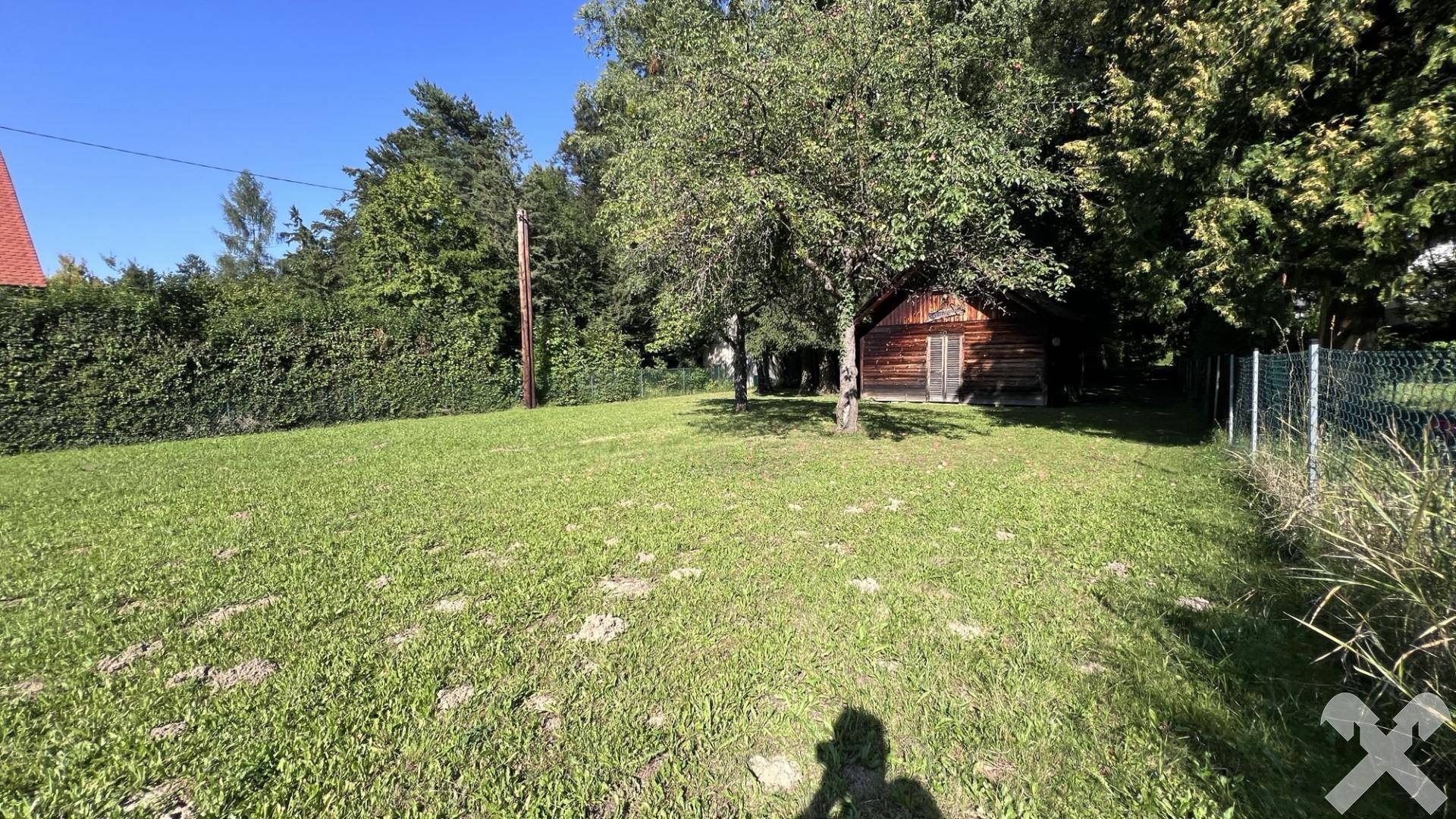 Weitläufige Rasenfläche mit Bäumen, einem Zaun und dem kleinen Holzhaus im Hintergrund.