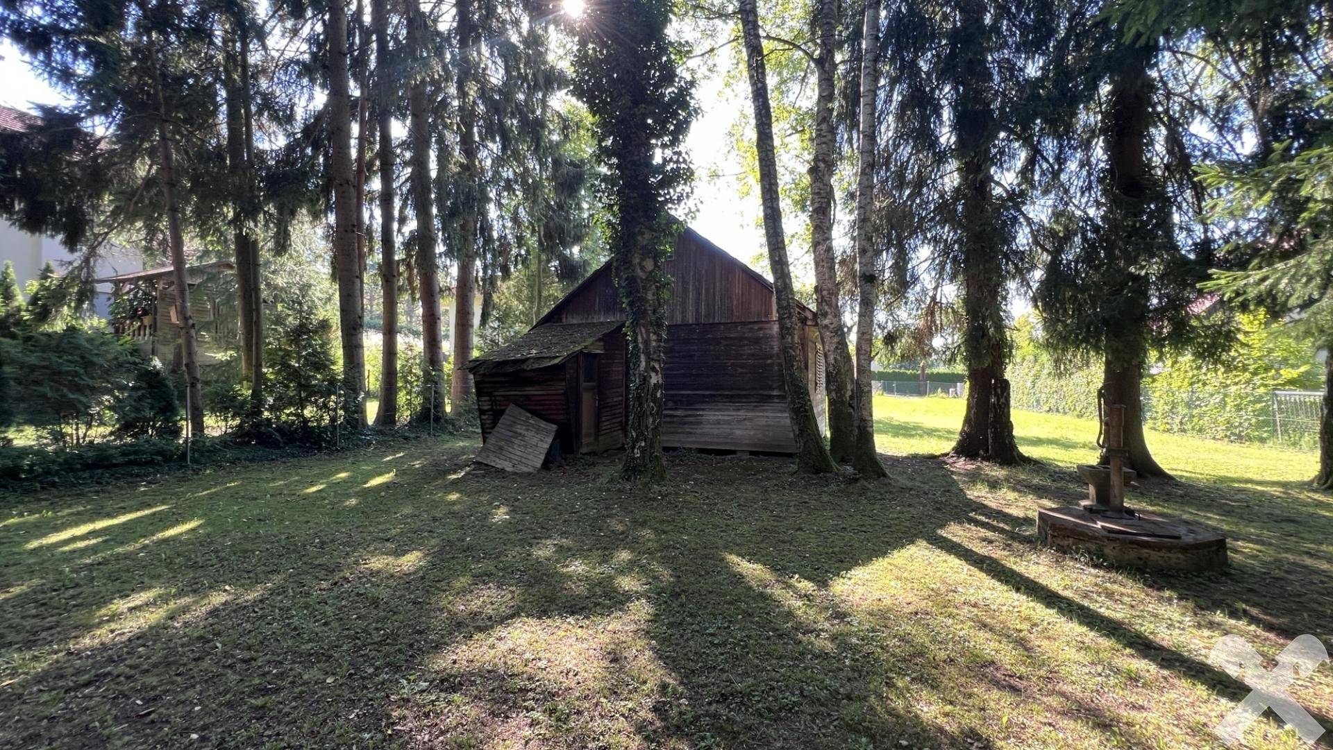 Rustikales Holzhaus inmitten von Bäumen mit einem alten Steinbrunnen auf dem sonnigen Grundstück.