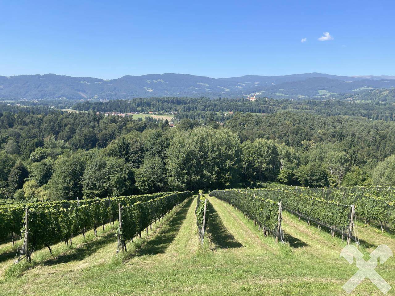 Blick Südwest