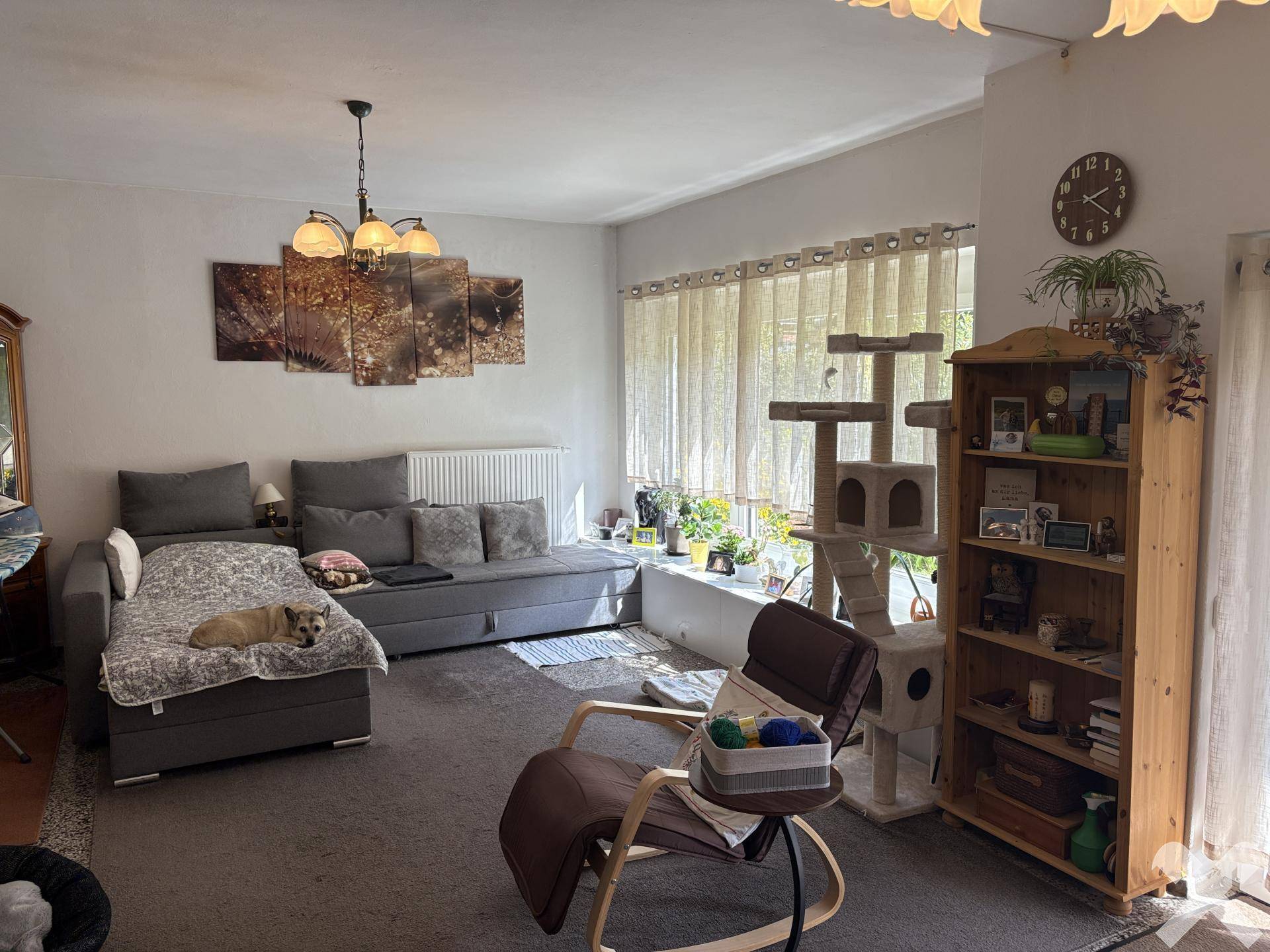 Helles Wohnzimmer mit großem Sofa, Teppichboden und viel Tageslicht.