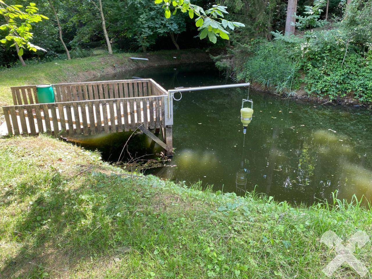 Teich