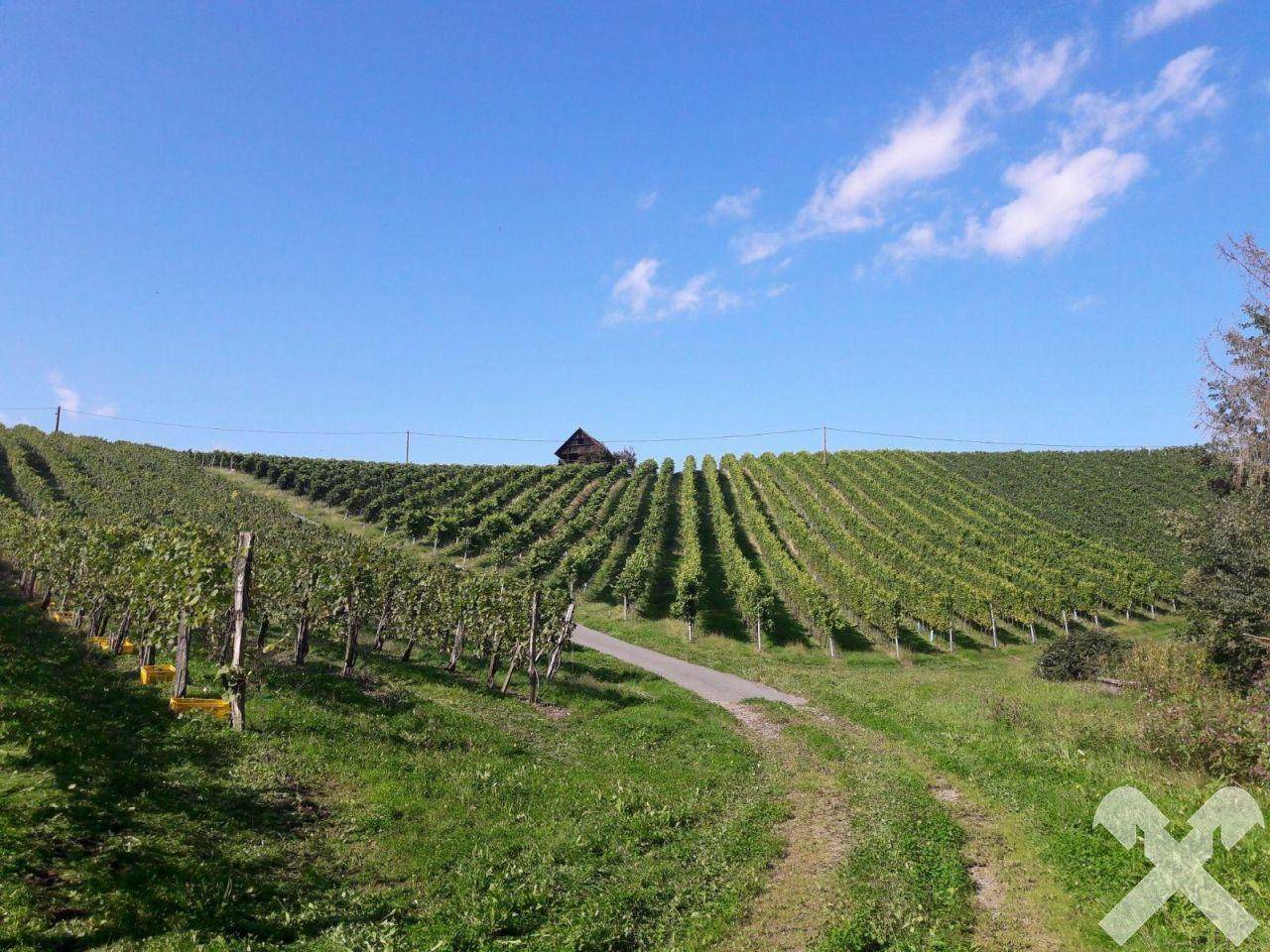 Weingarten