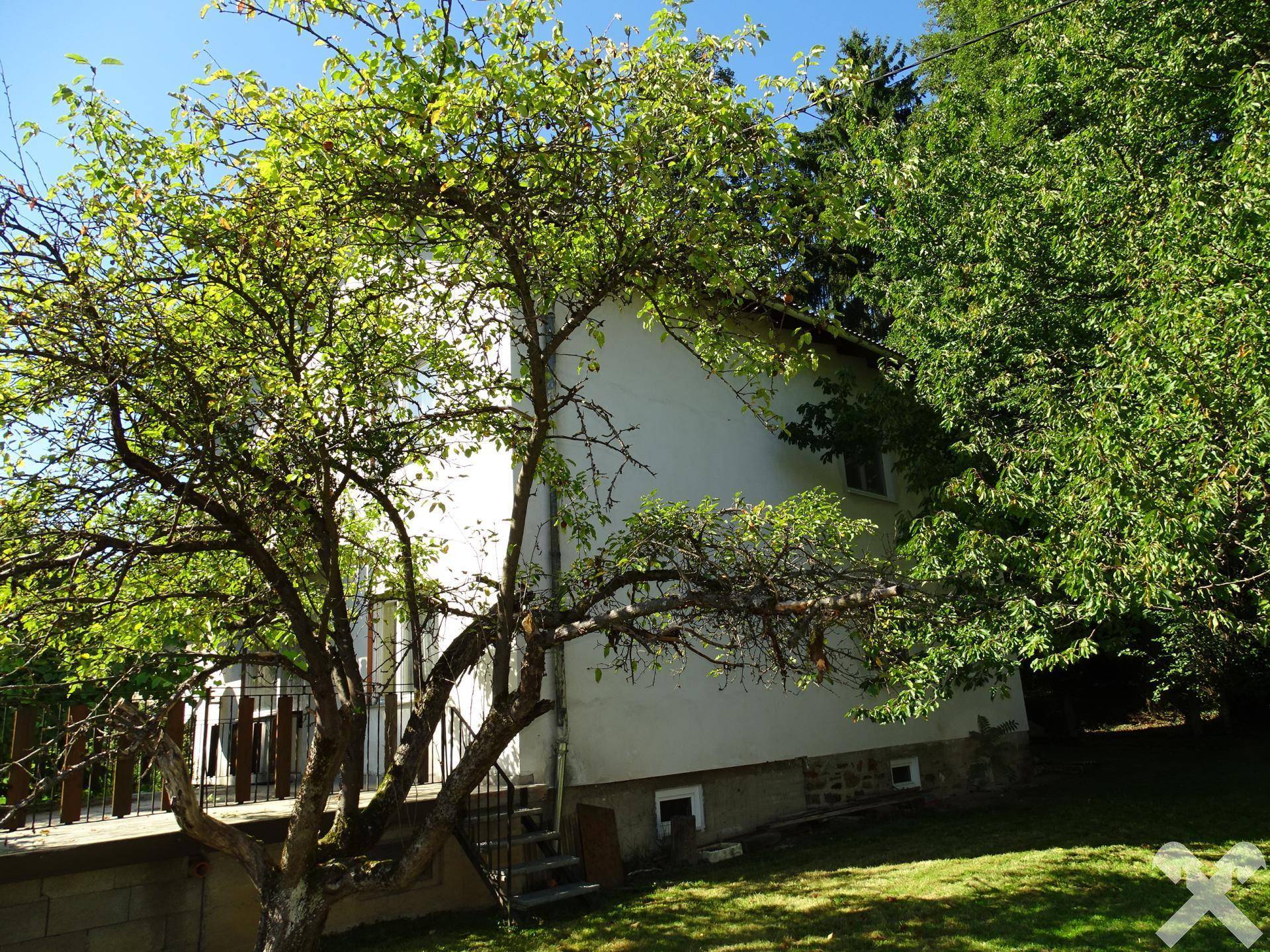 Blick vom Garten