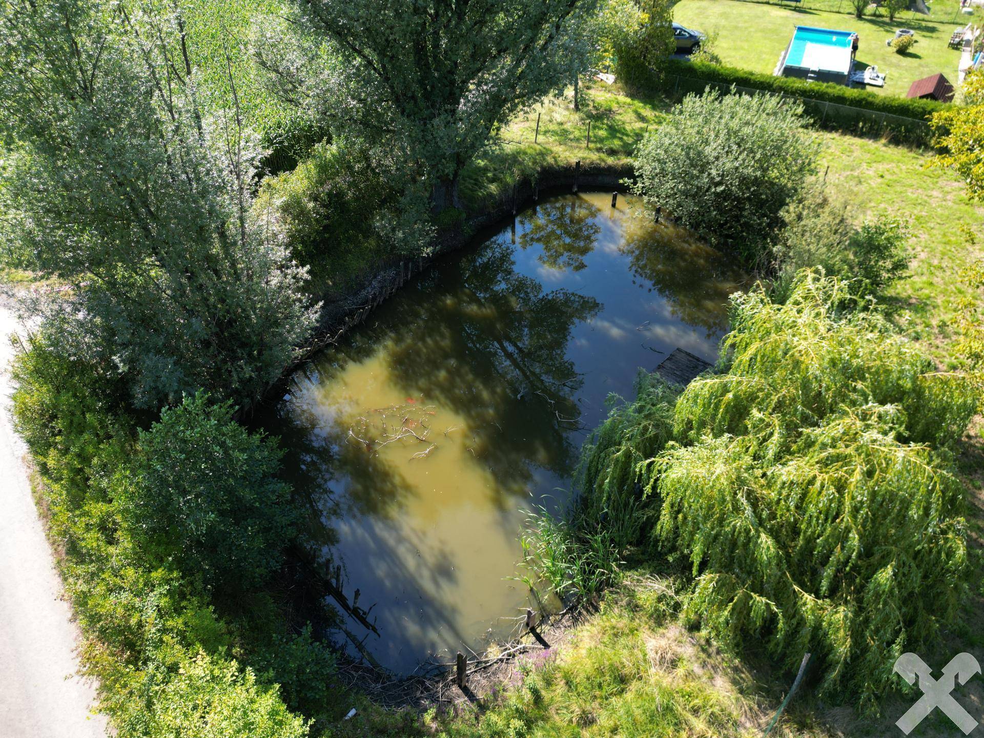 Teich