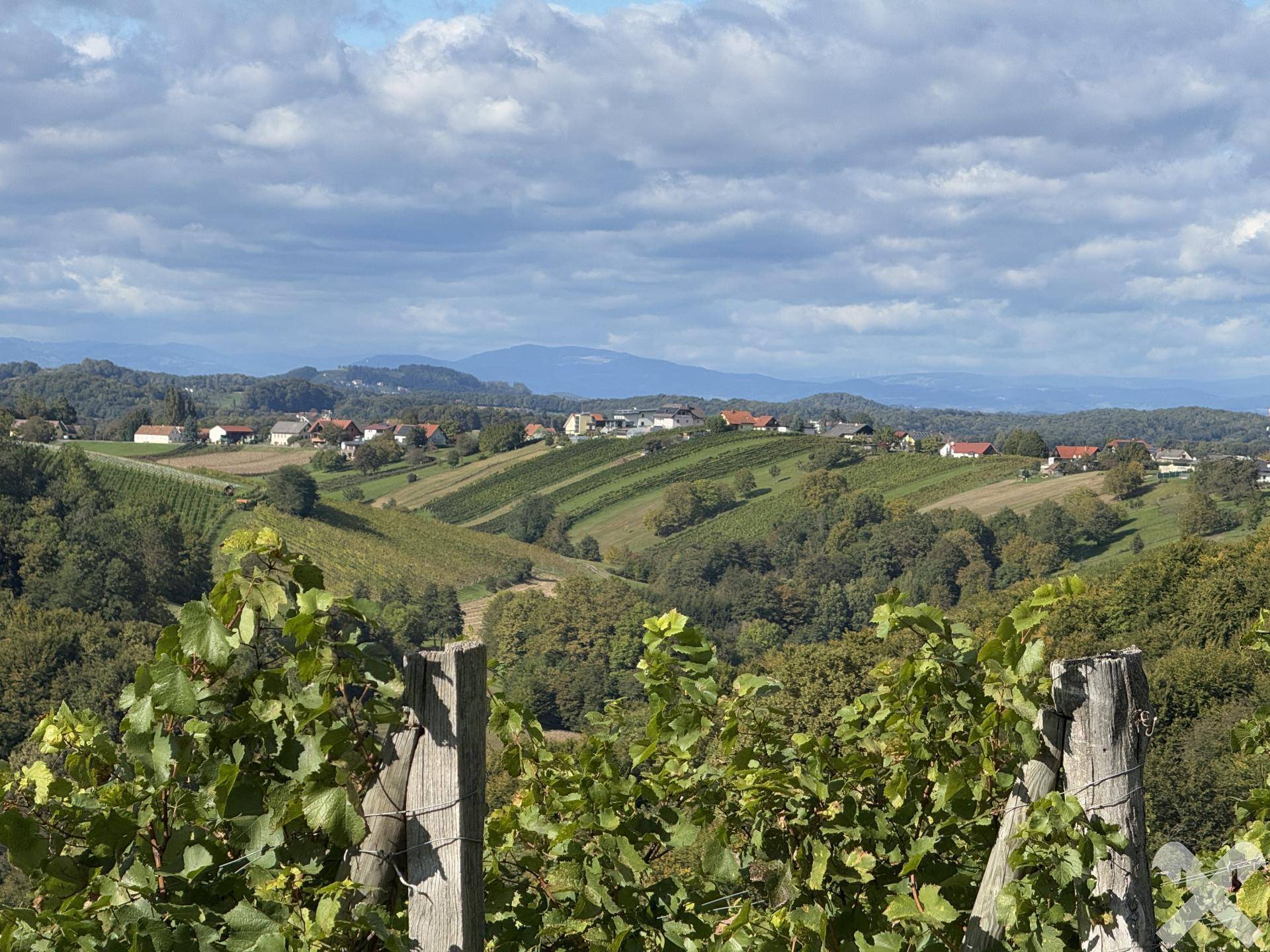 Ausblick vom Haus