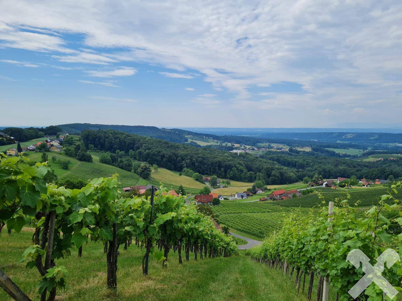 Weingarten Aussicht