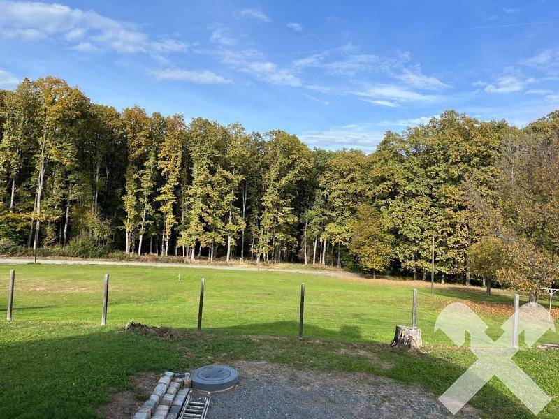 Großer Gartenbereich mit Rasenfläche und altem Baumbestand im Hintergrund.