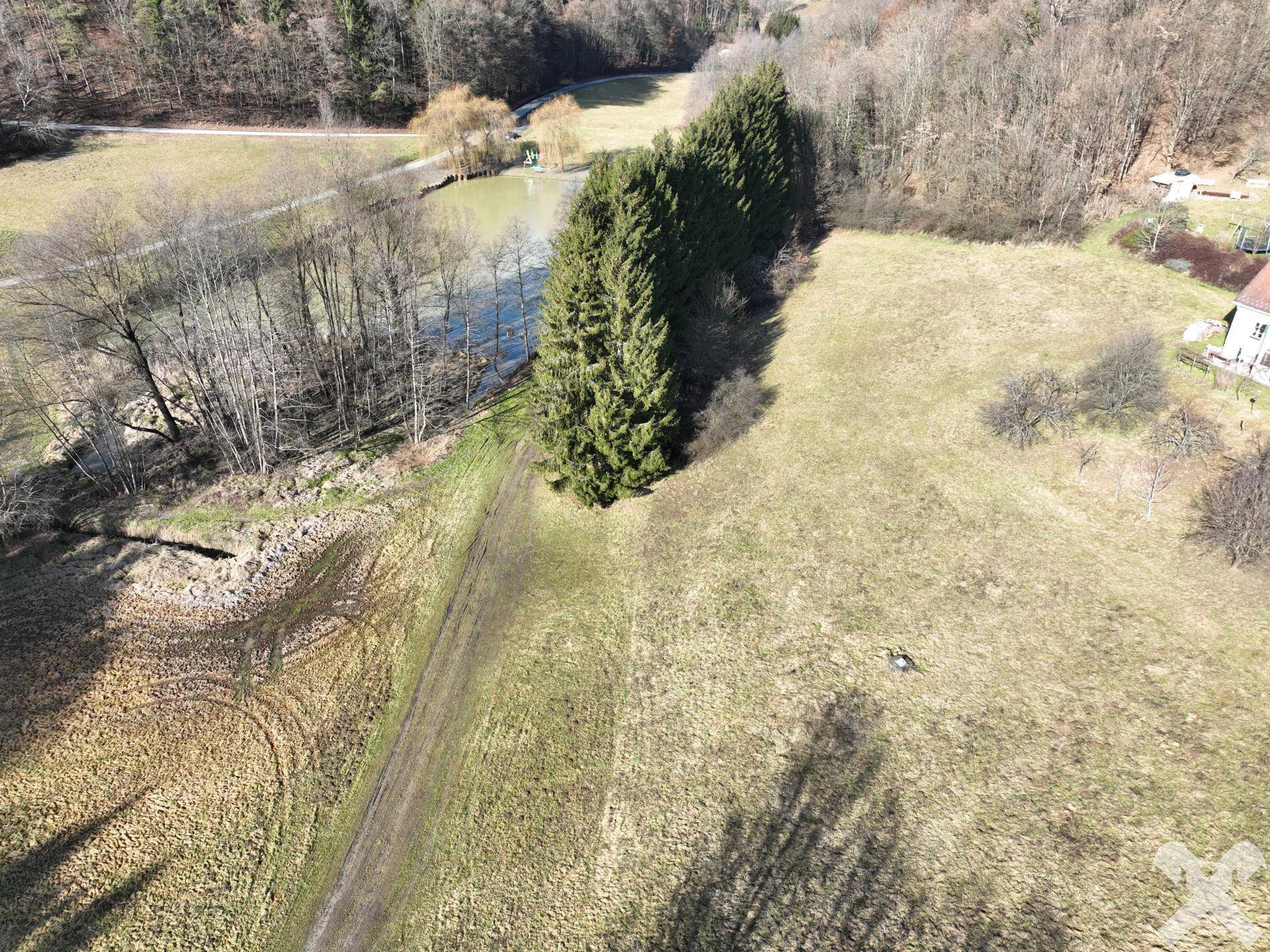 Luftbild eines weitläufigen Grundstücks mit grünen Feldern, Nadelbäumen und einem angrenzenden Gewässer.