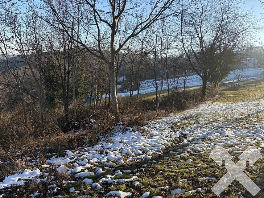 Weitläufige Winterlandschaft mit schmelzendem Schnee, kahlen Bäumen und einem Bach im Hintergrund.