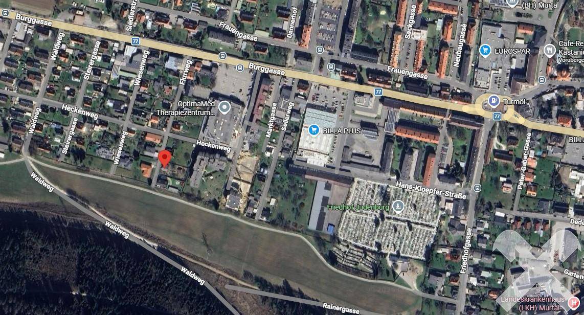 googlemaps Mikrolage