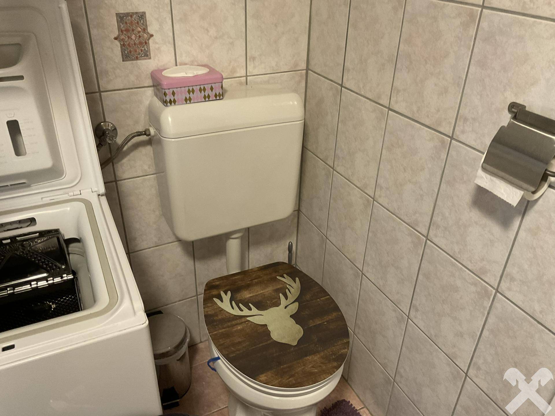 Separate Toilette mit Waschmaschine und gefliesten Wänden, praktisch eingerichtet.