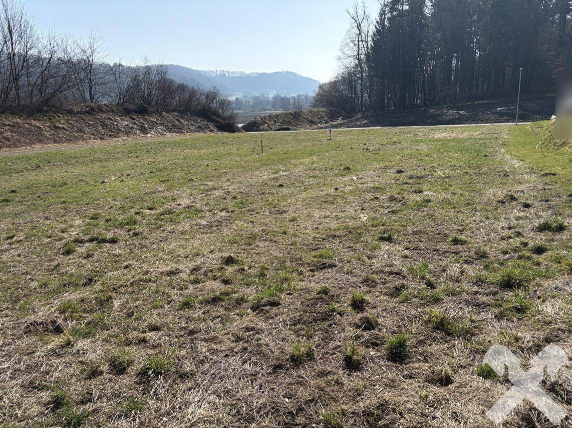 Weitläufiges Feld mit Blick auf bewaldete Hügel und eine weite Landschaft unter klarem Himmel.