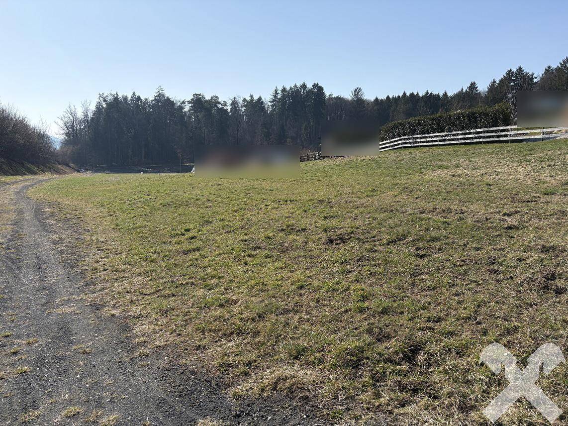 Weitläufige Grünfläche mit einem Feldweg, umgeben von Wald und einem Zaun im Hintergrund.