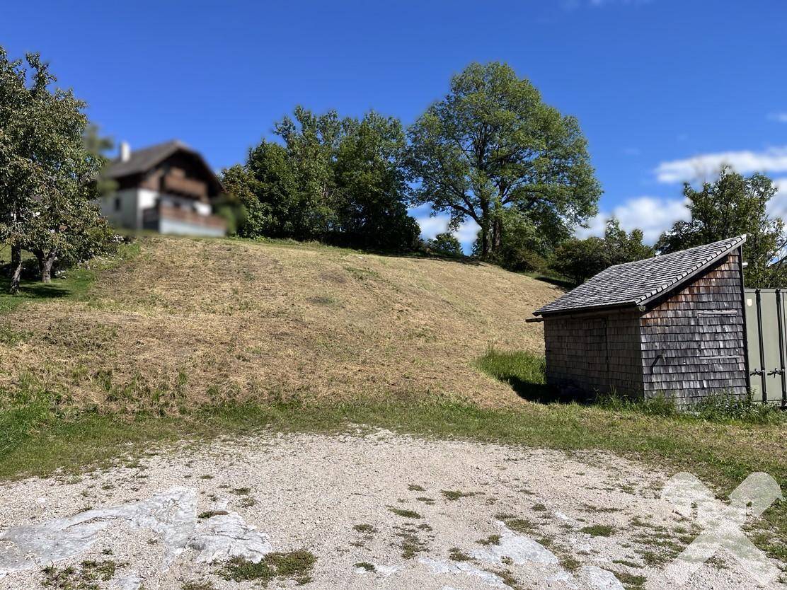 Eine weitläufige, sonnige Wiese mit einem kleinen Holzschuppen und Bäumen im ländlichen Ambiente.