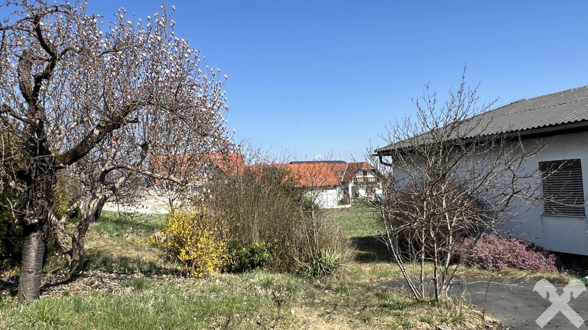 Hausfassade mit blühendem Baum im Vordergrund und weiteren Gebäuden im Hintergrund an einem sonnigen Tag.