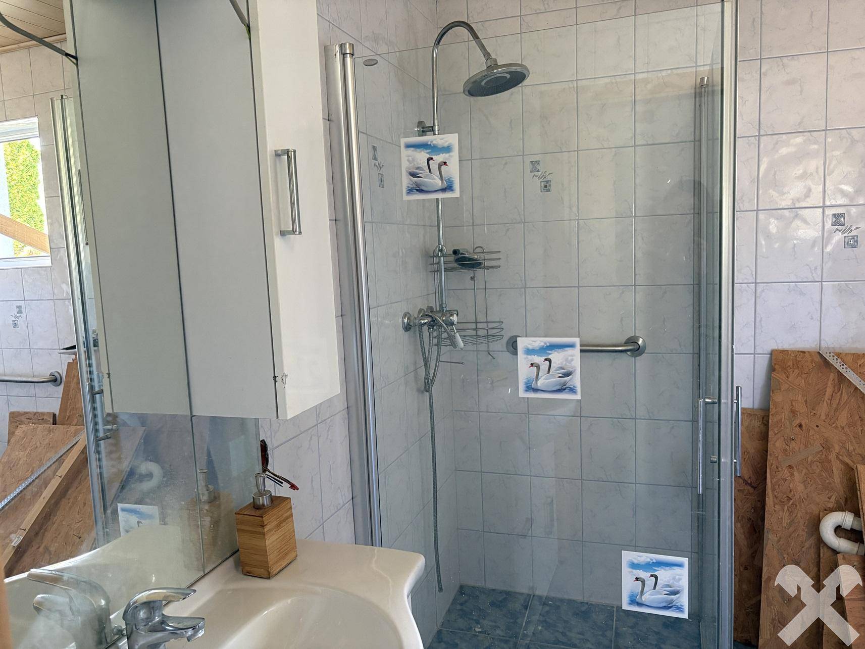 Badezimmer mit Duschkabine, Waschbecken und Spiegel, ausgestattet mit Haltegriffen.