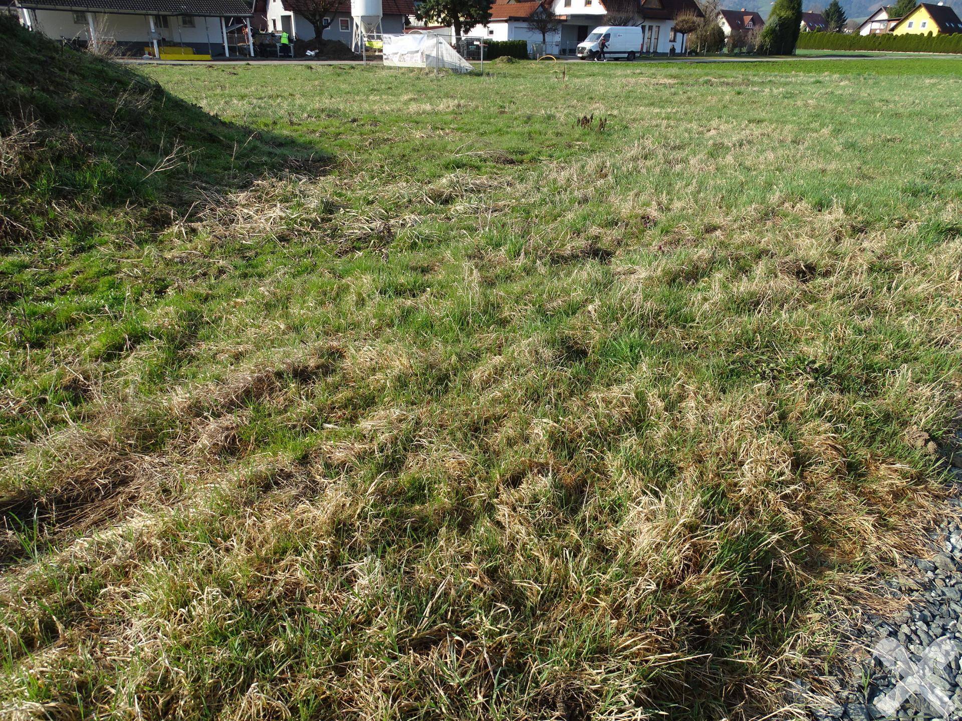 Attraktive Baugrundstücke in sonniger Ruhelage am Stadtrand - Ansicht 4