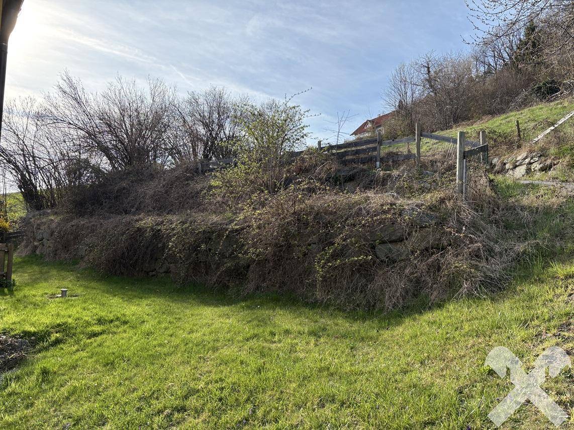 Naturbelassener Gartenbereich mit Sträuchern und einer Steinmauer auf einem Hanggrundstück.