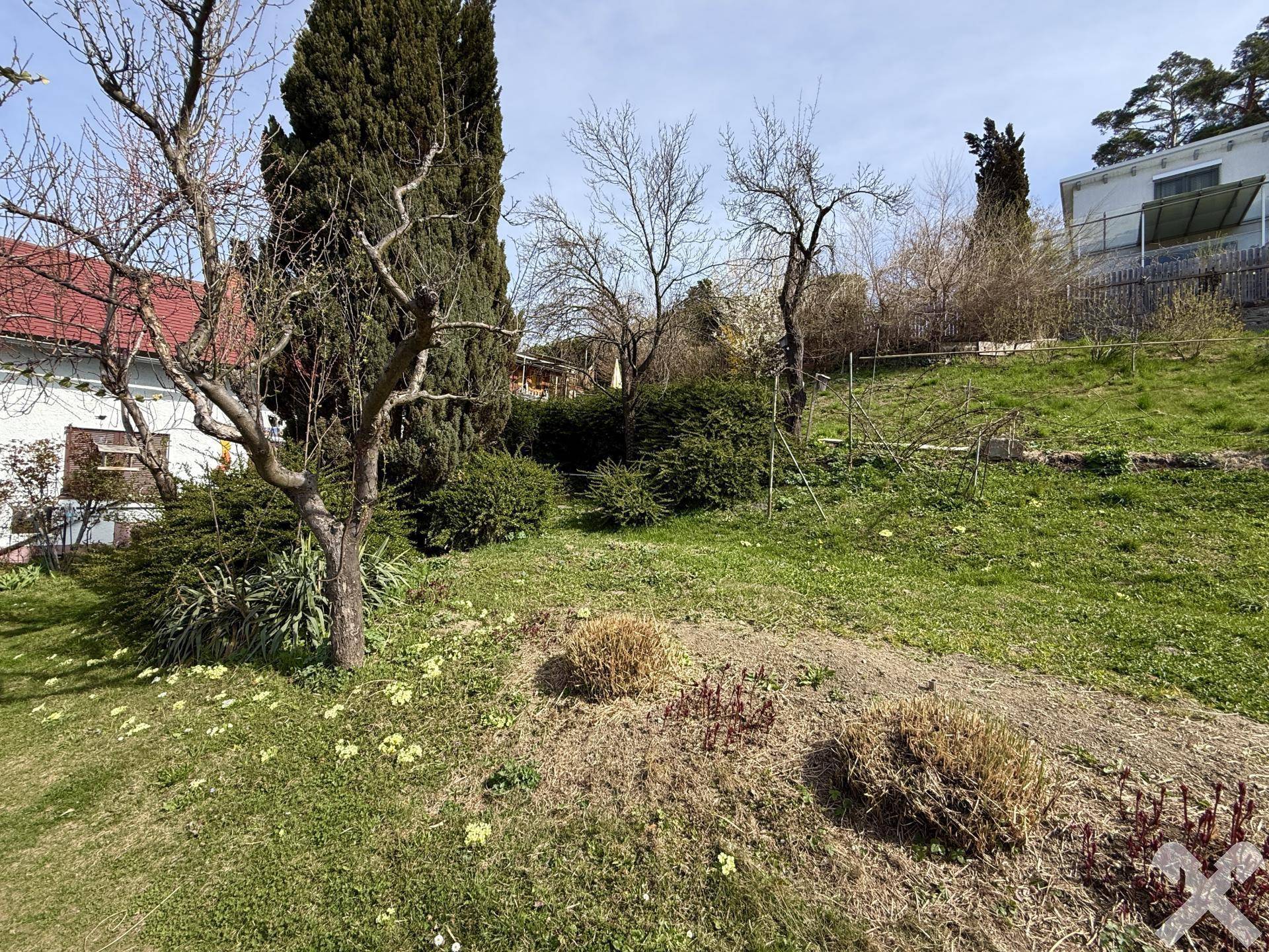 Grüner Gartenbereich mit Rasenflächen, Sträuchern und Bäumen, der zum Entspannen einlädt.