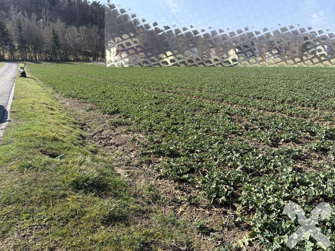 Weitläufiges Feld neben einer Straße mit bewaldetem Hügel im Hintergrund unter blauem Himmel.
