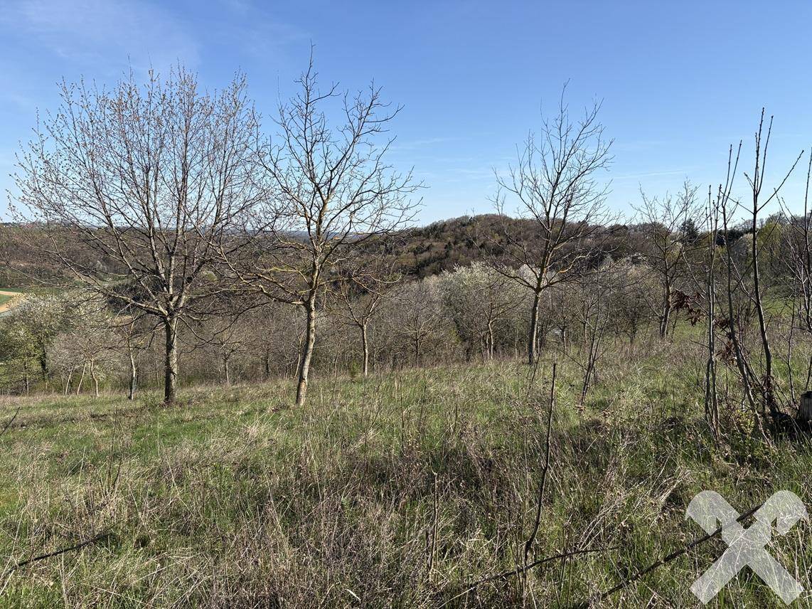 Panoramablick über eine weite, hügelige Landschaft mit spärlicher Vegetation und klarem blauem Himmel.