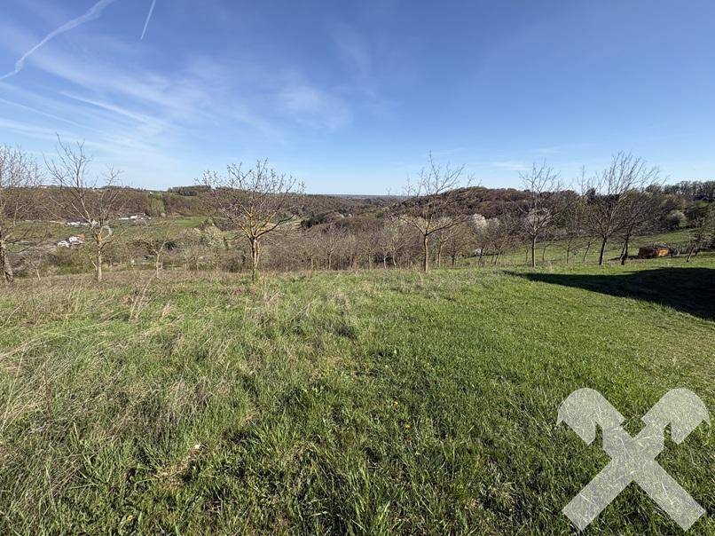 Offene grüne Fläche mit vereinzelten Bäumen und weitem Blick in die Natur.