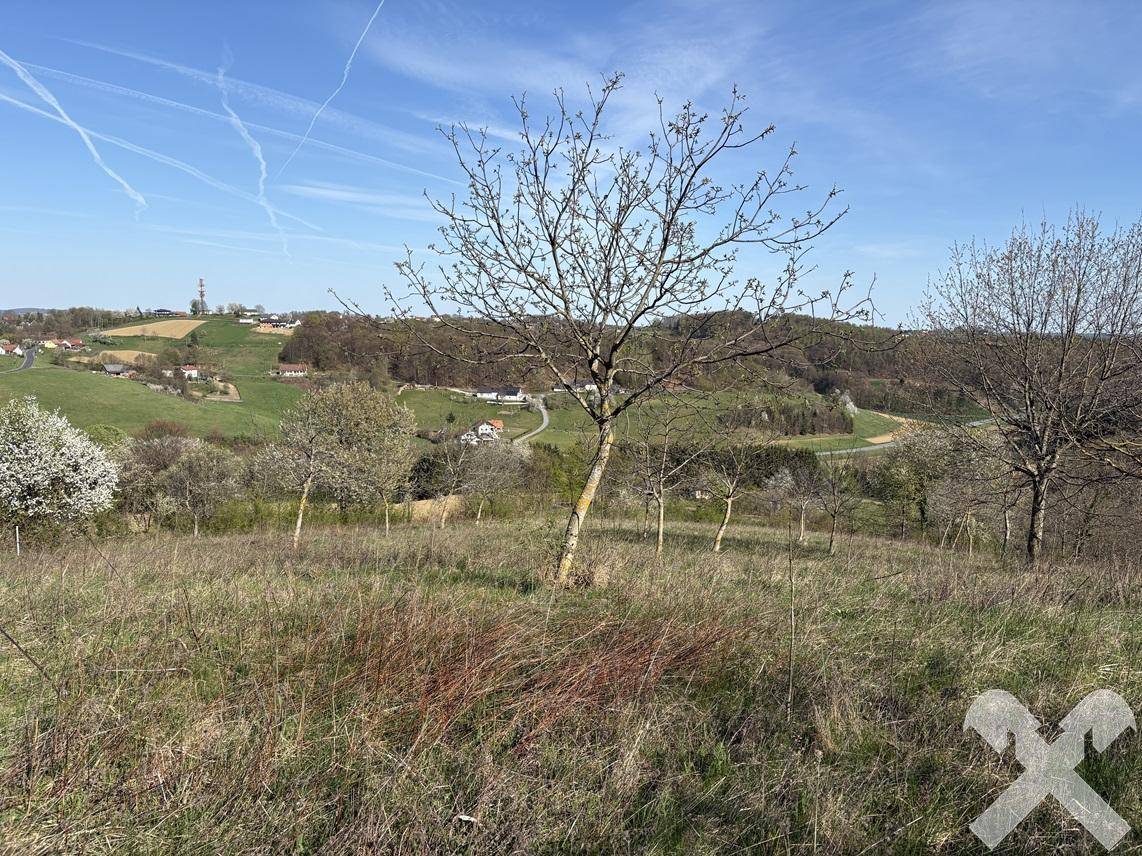 Malerische Hügellandschaft mit vereinzelten Bäumen und einem weiten Blick über die Umgebung.