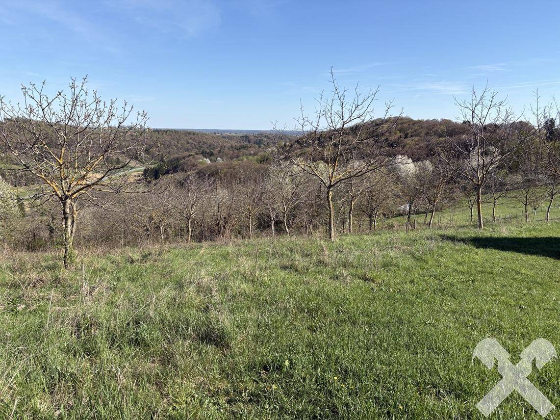 Panoramablick über eine hügelige, bewaldete Landschaft mit weiten Feldern im Frühling.