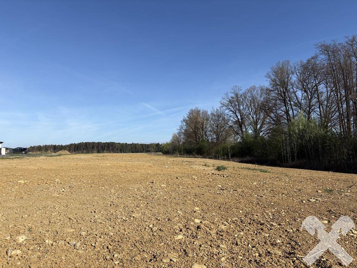 Großes Ackerland mit weitem Blick auf eine Waldgrenze und blauen Himmel.