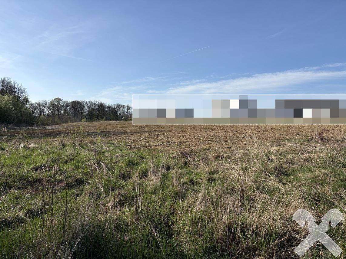 Grünes Grundstück mit weitem Blick auf Bäume und eine verpixelte Fläche im Hintergrund.