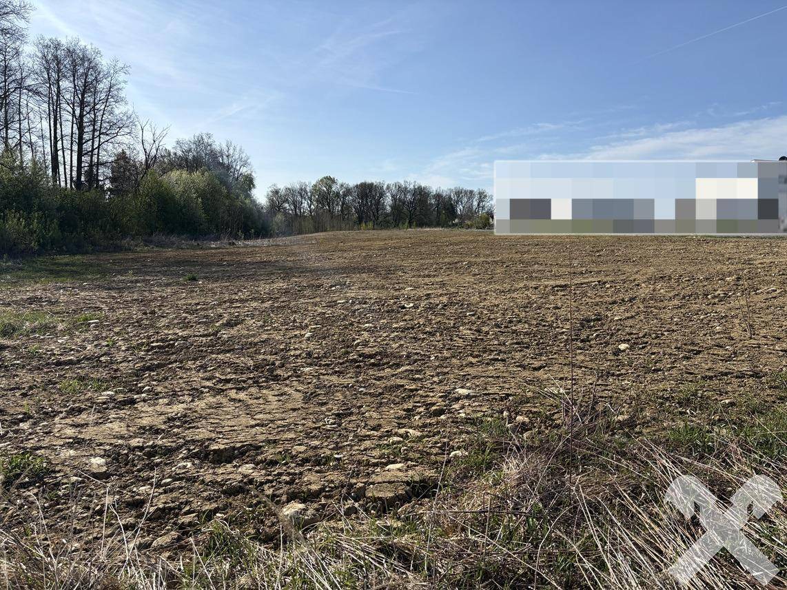 Unbebautes Grundstück mit Gras und Ackerland, umgeben von Bäumen und einer verpixelten Zone.
